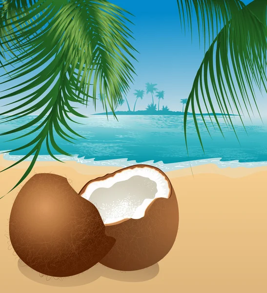 Kokosnuss am Strand unter Palmen — Stockvektor