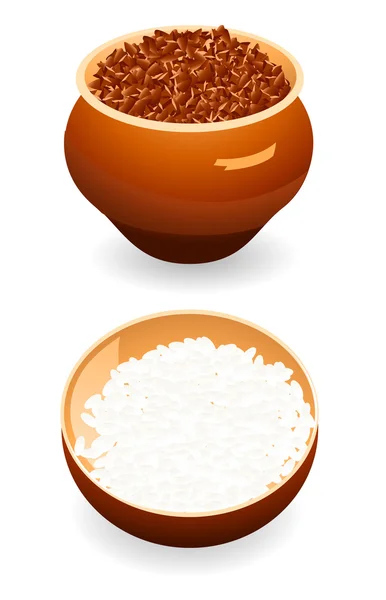 Trigo mourisco e arroz — Vetor de Stock