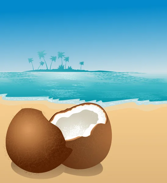 Coco na praia — Vetor de Stock