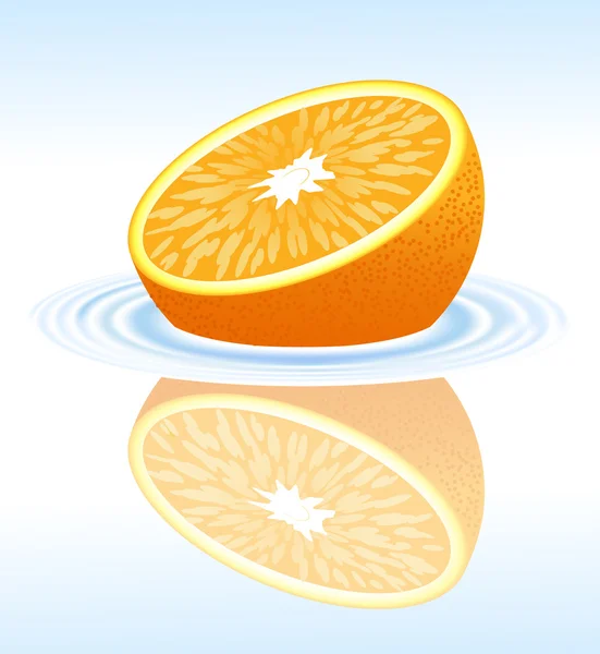 물 속의 오렌지 — 스톡 벡터