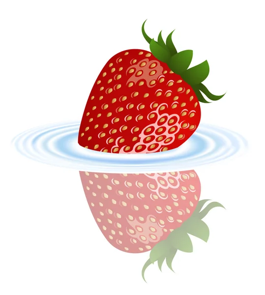 물 속의 딸기 — 스톡 벡터