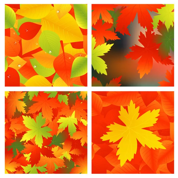 Autumnal background set — Stock Vector