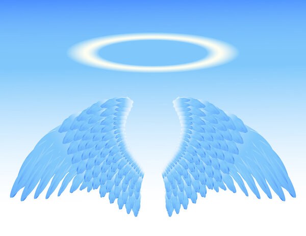 крылья ангела и нимб
