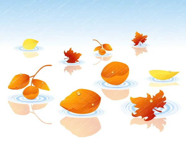 Autumnal leaf falling in the water — Stock Vector