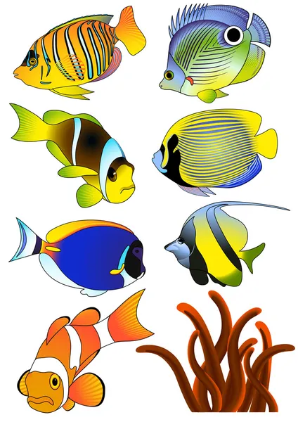 Ikan eksotis - Stok Vektor