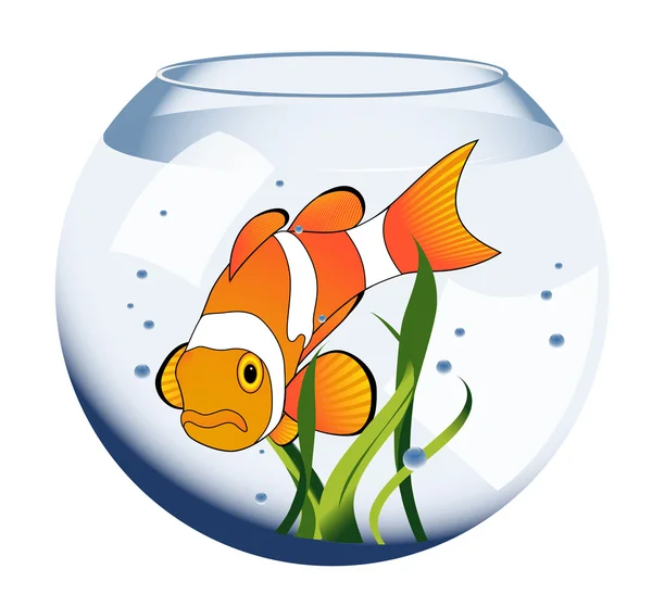 Exotic_fish_in_aquarium — Stock vektor