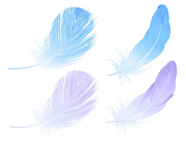 羽毛セット — ストックベクタ