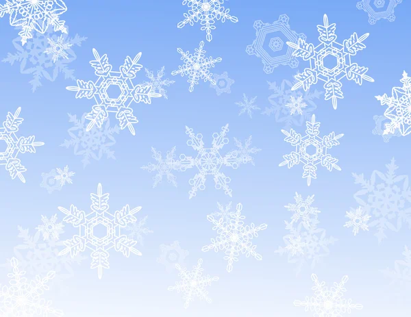 Riflessione fiocco di neve — Vettoriale Stock