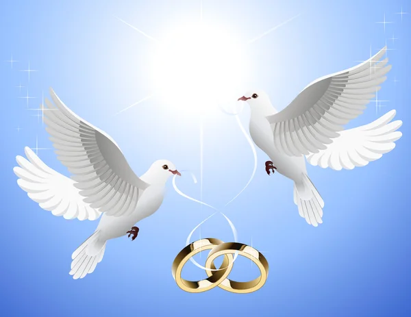 White_doves_holding_wedding_rings — Stock Vector