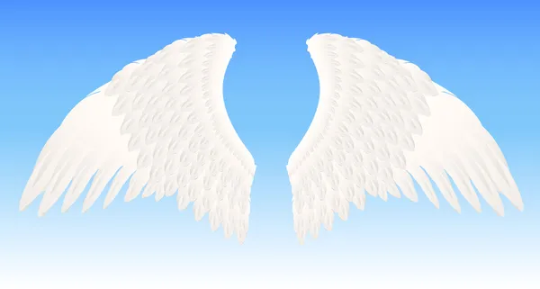 White angel wings — Stock Vector