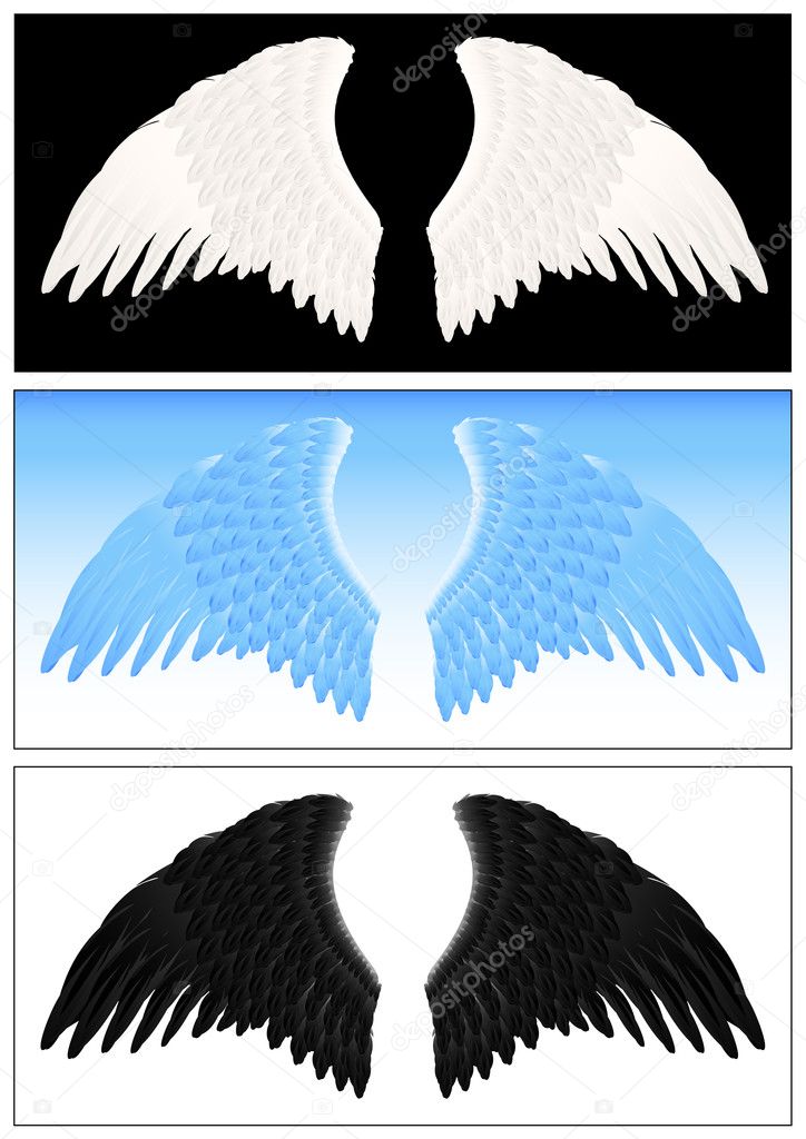 Angel wing set