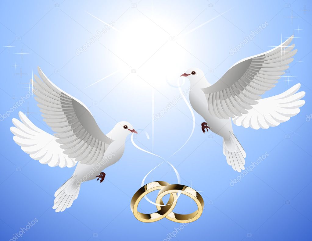 Wedding Doves Sit On Gold Rings Purity Bride Dove Photo Background And  Picture For Free Download - Pngtree
