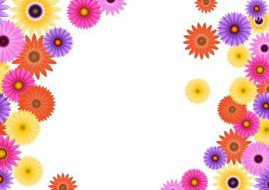 Aster çiçek background1