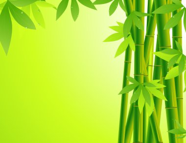 Bamboo background clipart