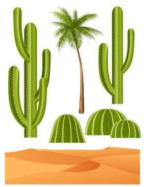 Cactus set
