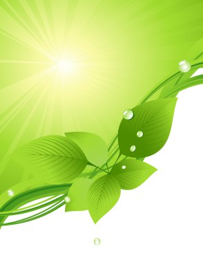 Beautiful green leaf background clipart