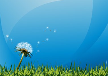 Dandelions on summer field clipart