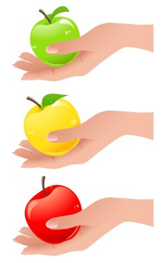 elma el farklı renklerde
