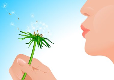 Girl blowing on dandelion clipart