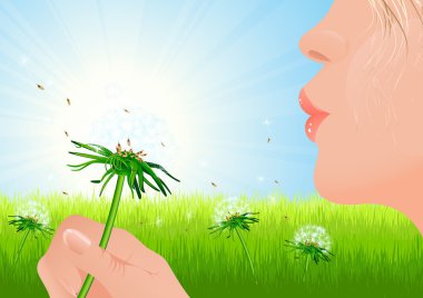 Girl blowing dandelion on summer field clipart