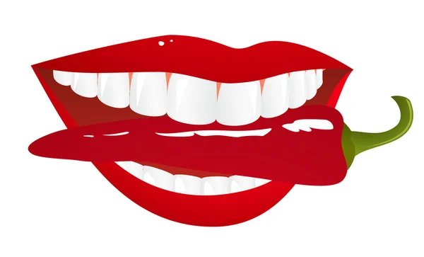 Lábios de mulher com pimenta — Vetor de Stock