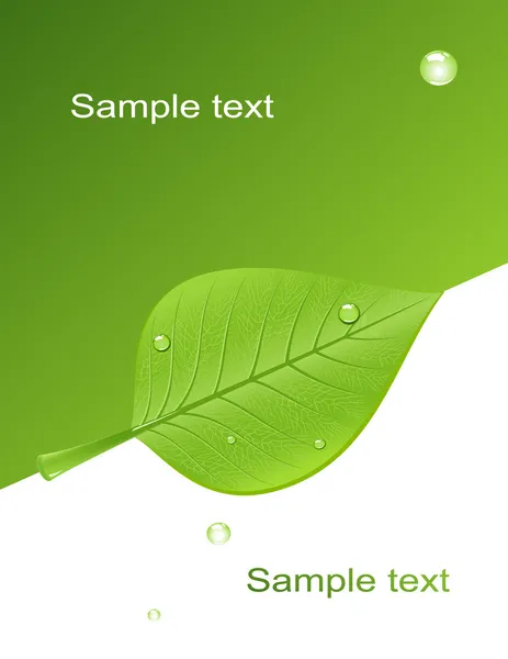 Hintergrund mit grünem Blatt — Stockvektor