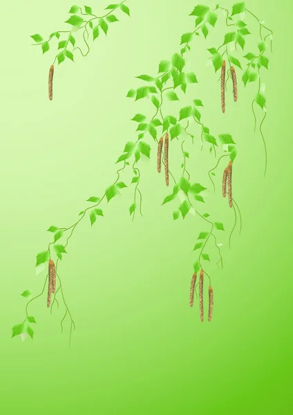 Birch_leaf — 图库矢量图片