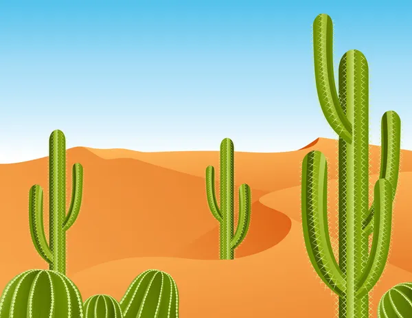 Kaktus v poušti — Stockový vektor