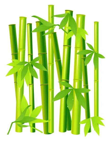 孤立的背景上竹 — 图库矢量图片