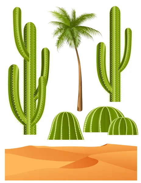 Cactus set — Stock vektor