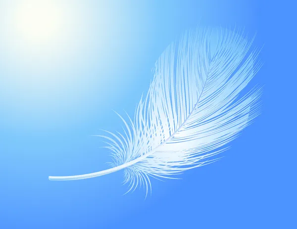Feather — Stock Vector