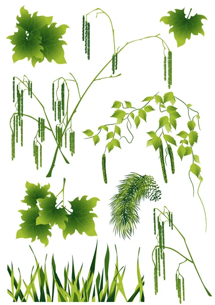 Forest _ leaf — стоковый вектор