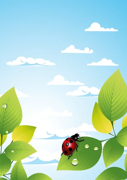 Ladybird _ in _ the _ sunny _ summer _ day — Image vectorielle