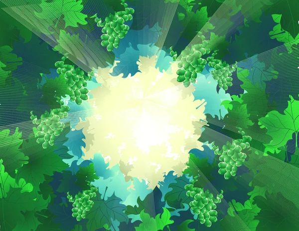 Forest_lights — Stockový vektor