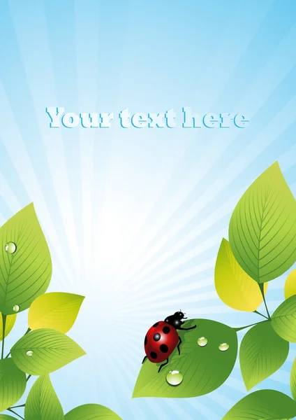 Ladybird _ on _ leaf — Image vectorielle
