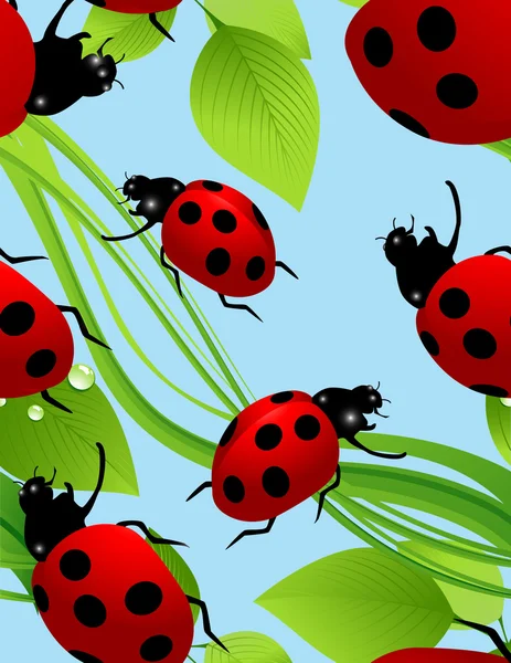 Ladybird seamless background — Stock Vector