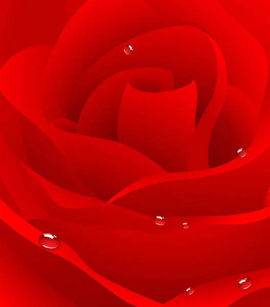 红色美丽玫瑰背景 — 图库矢量图片
