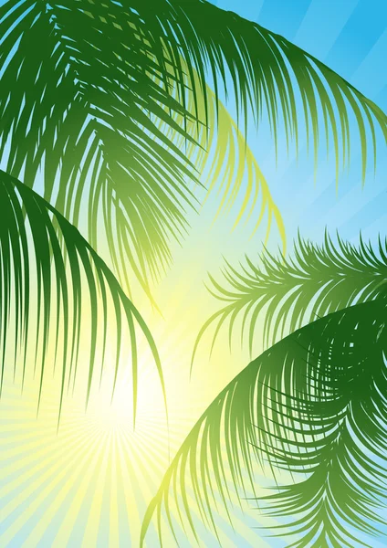 Rayons du soleil _ à travers _ la _ feuille _ tropicale — Image vectorielle