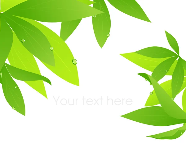 Branche de feuilles tropicales — Image vectorielle