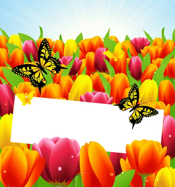 Cadre tulipe — Image vectorielle