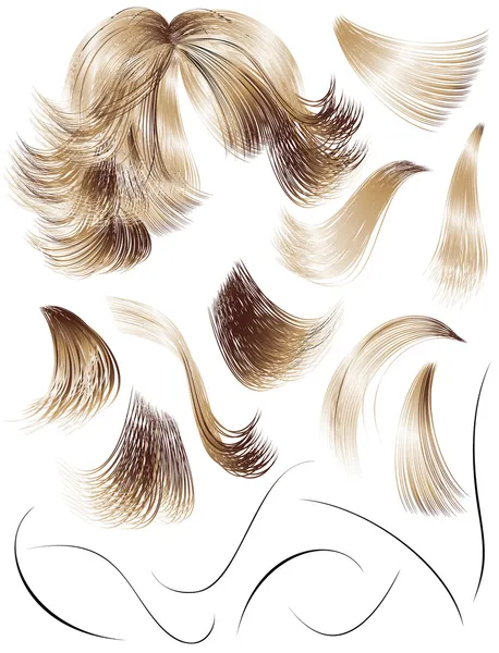 头发 — 图库矢量图片