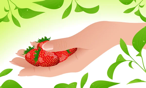 Aardbeien in de hand — Stockvector