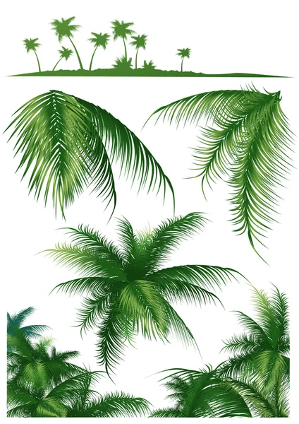 Tropical_leaf1 Royaltyfria illustrationer