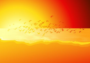 Flock of birds above the sea in sunset clipart