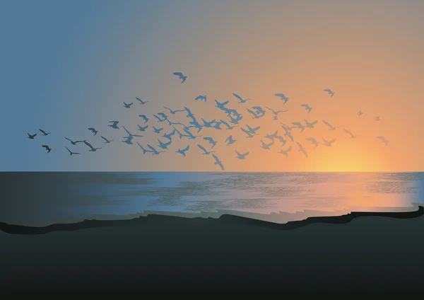 Flock of birds above the sea — Stock Vector