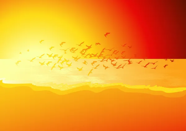 Stormo di uccelli sopra il mare al tramonto — Vettoriale Stock