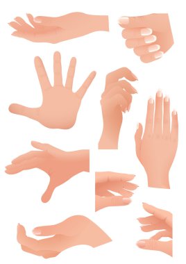 Human palm set clipart