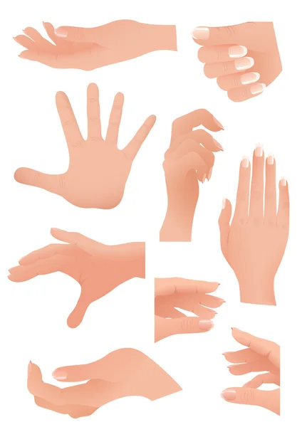 Set de palma humana — Vector de stock