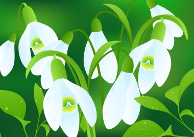 Snowflowers clipart