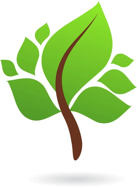 Una rama con hojas verdes — Vector de stock